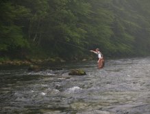 Sava Bohinjka fishing in the misty morning