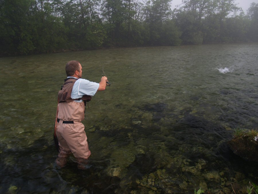 Sava Bohinjka - the first catch of the day
