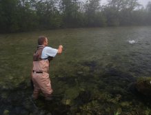 Sava Bohinjka - the first catch of the day