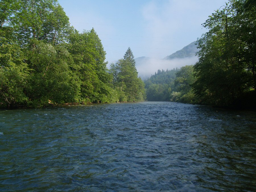 Sava Bohinjka in the morning