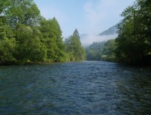 Sava Bohinjka in the morning