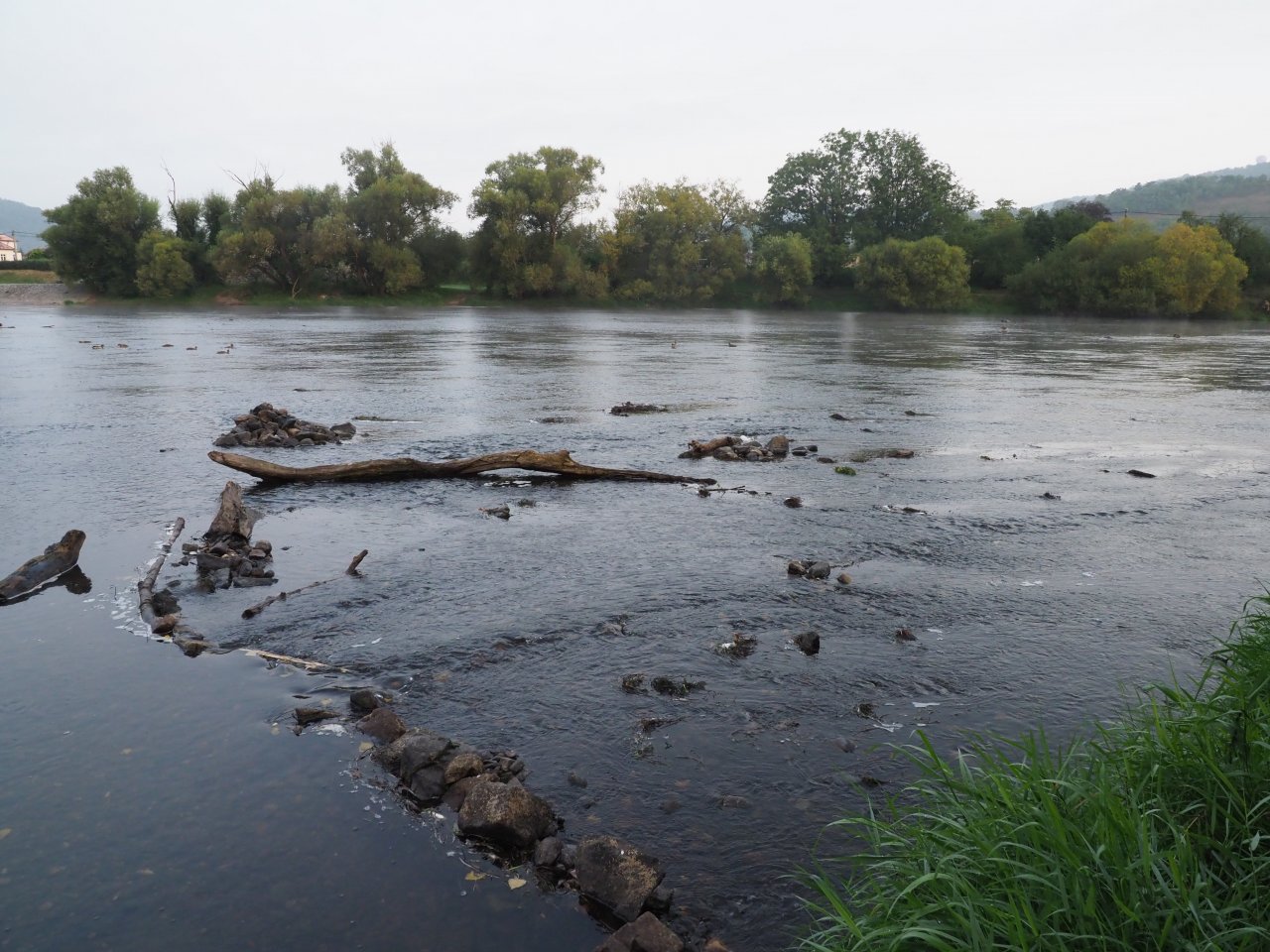 Berounka - the weir in Zadn� T�eba�