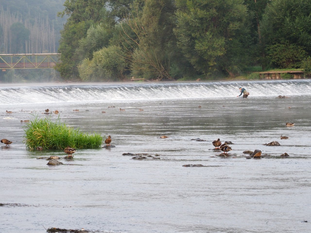 Berounka - the weir in Zadn� T�eba�