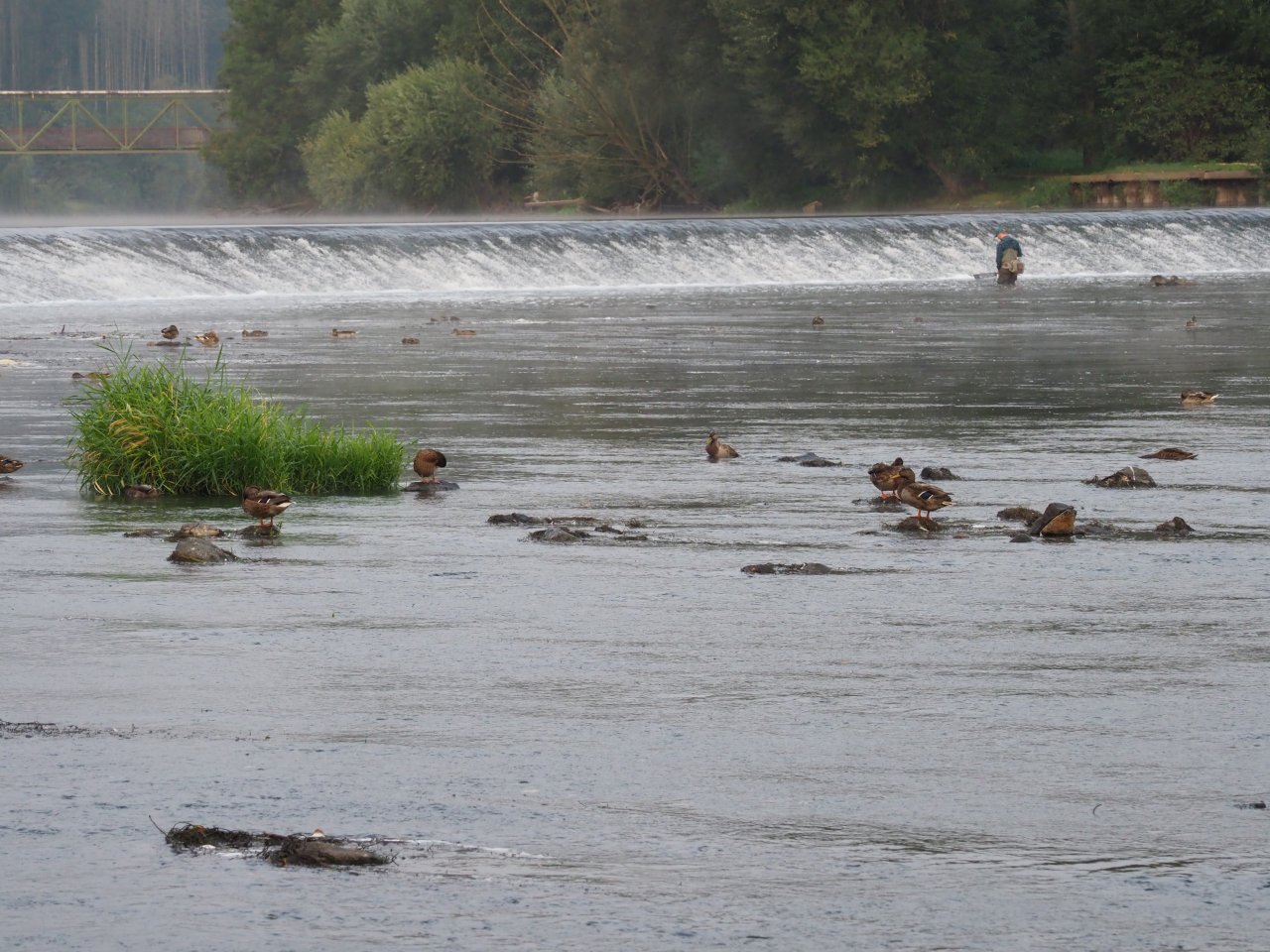 Berounka - the weir in Zadn� T�eba�