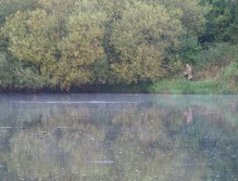 Berounka - the weir in Zadní Třebaň