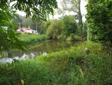 Berounka - the weir in Zadní Třebaň