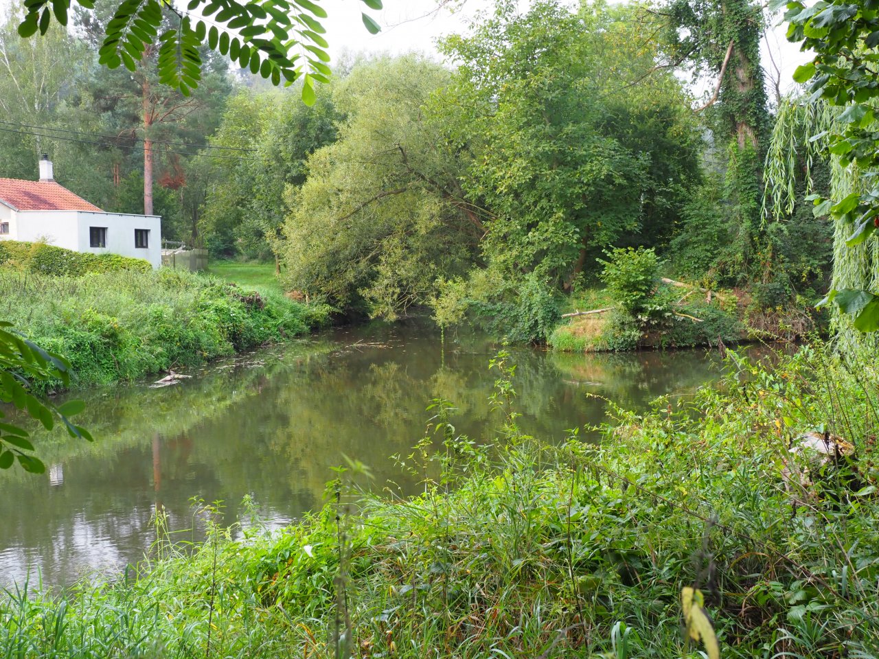 Berounka - the weir in Zadn� T�eba�