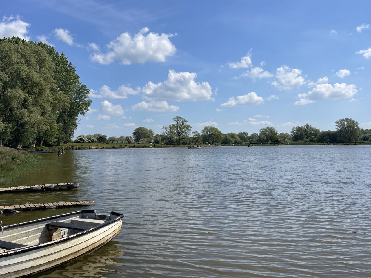 Elinor Trout Fishery
