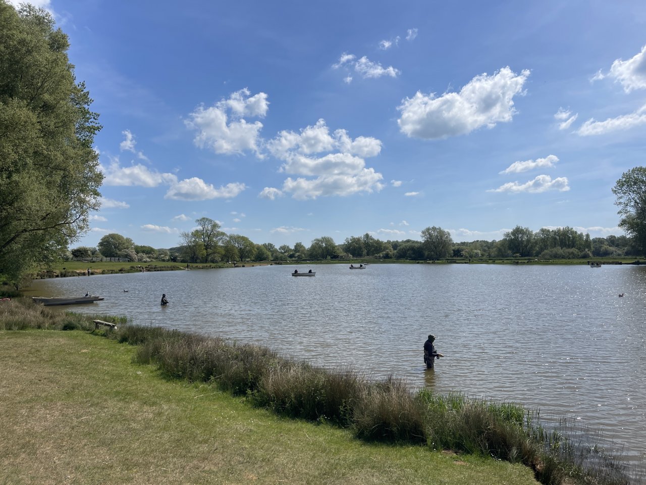 Elinor Trout Fishery