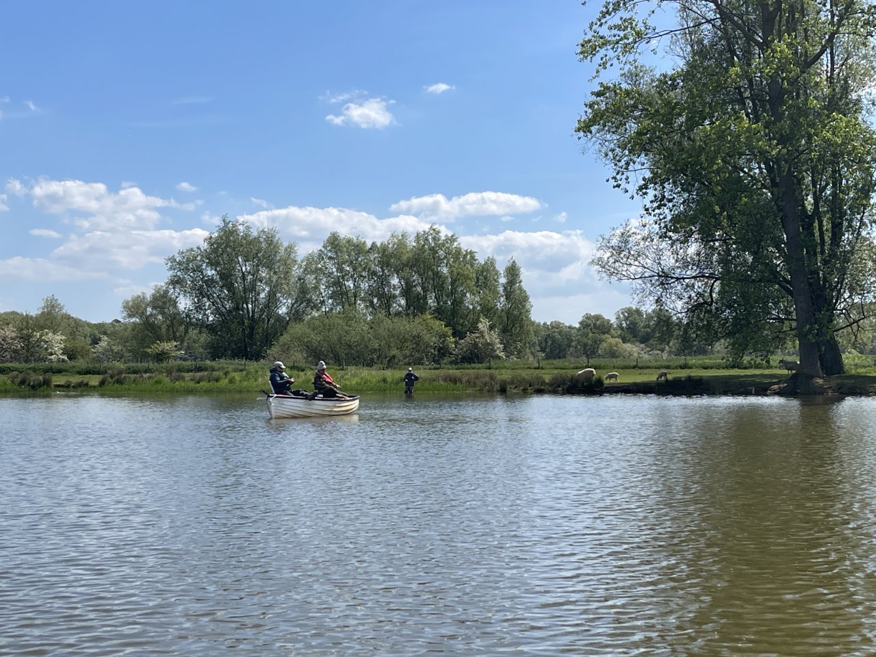 Elinor Trout Fishery