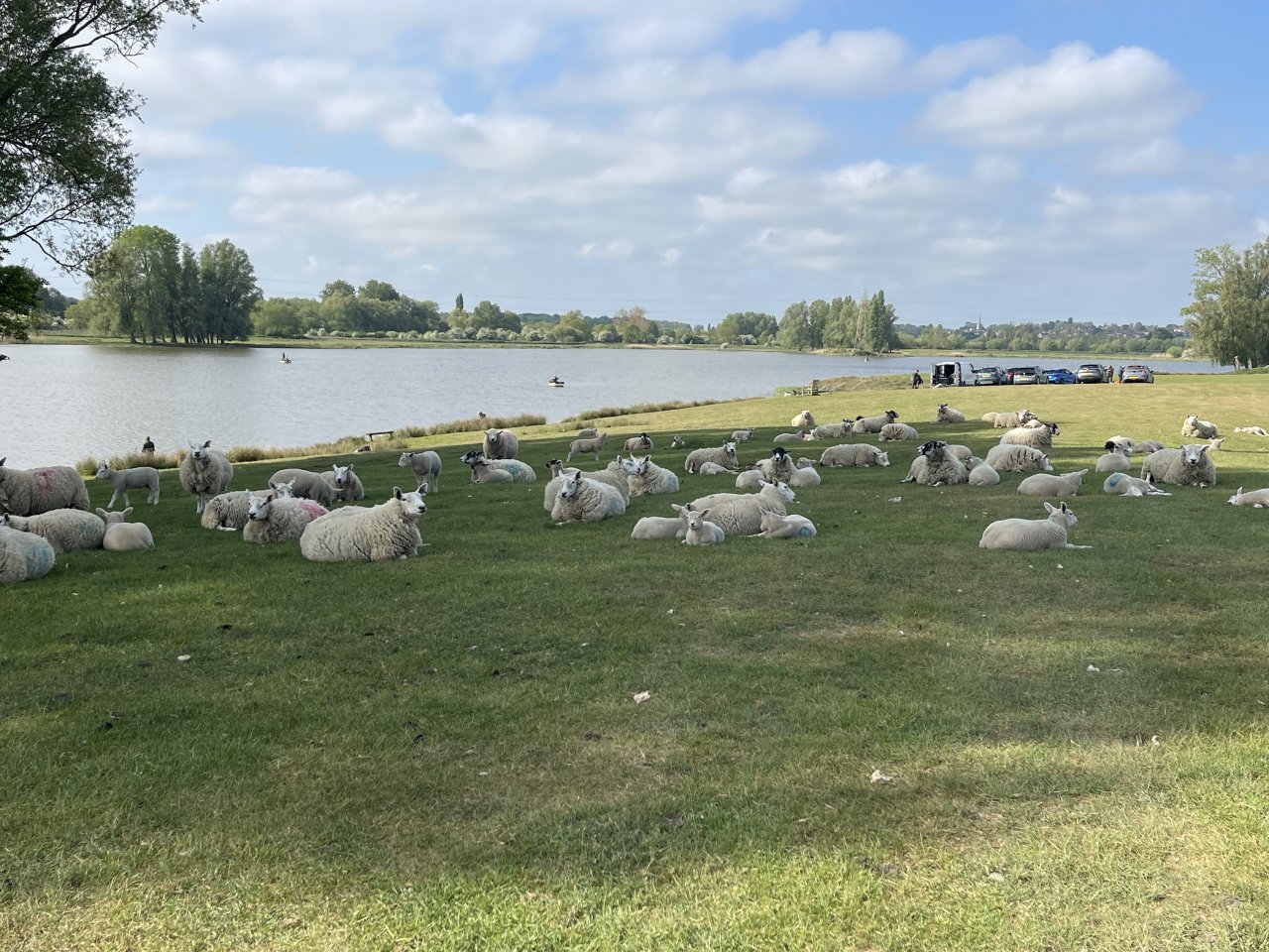 Elinor Trout Fishery