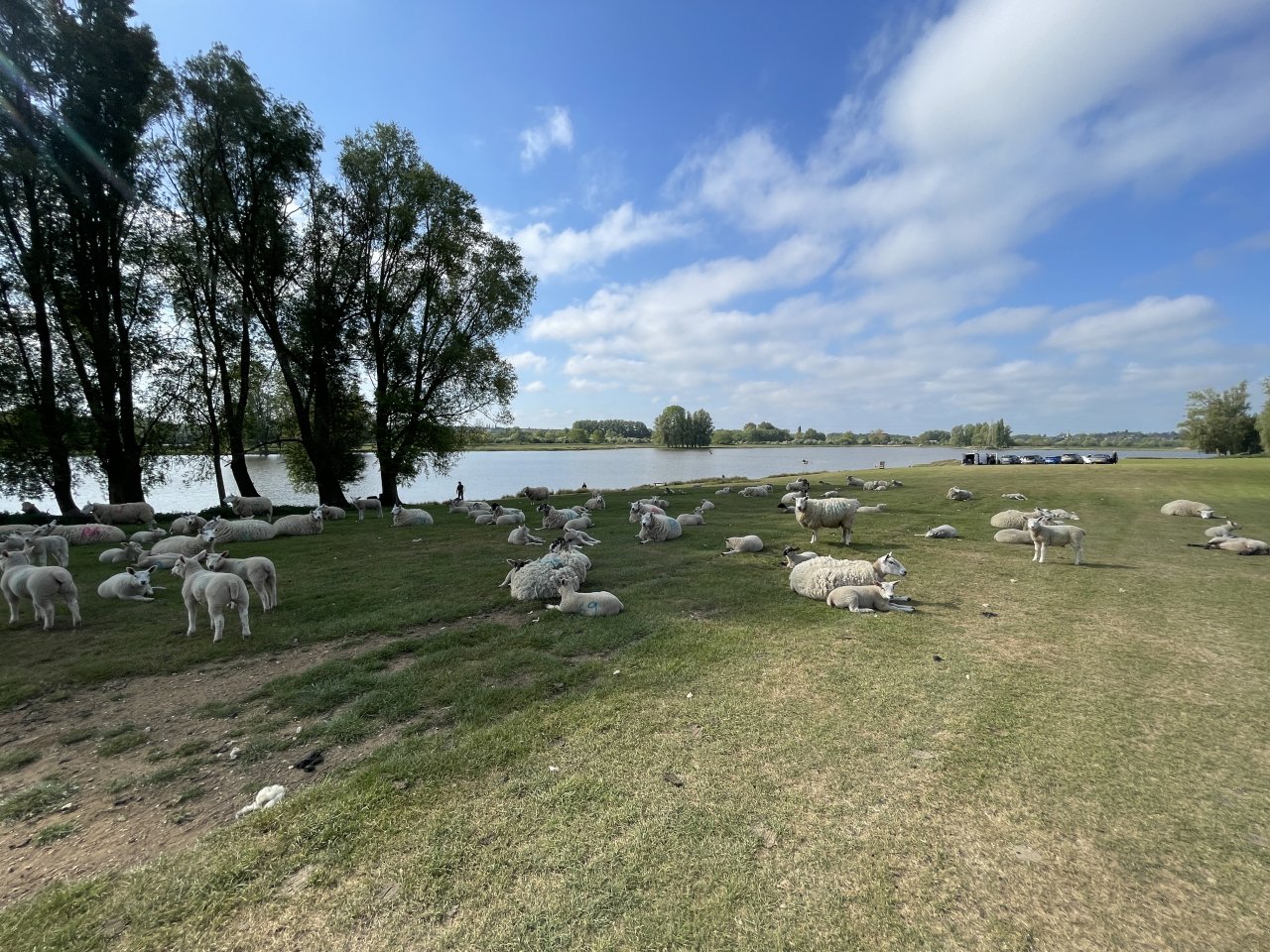 Elinor Trout Fishery