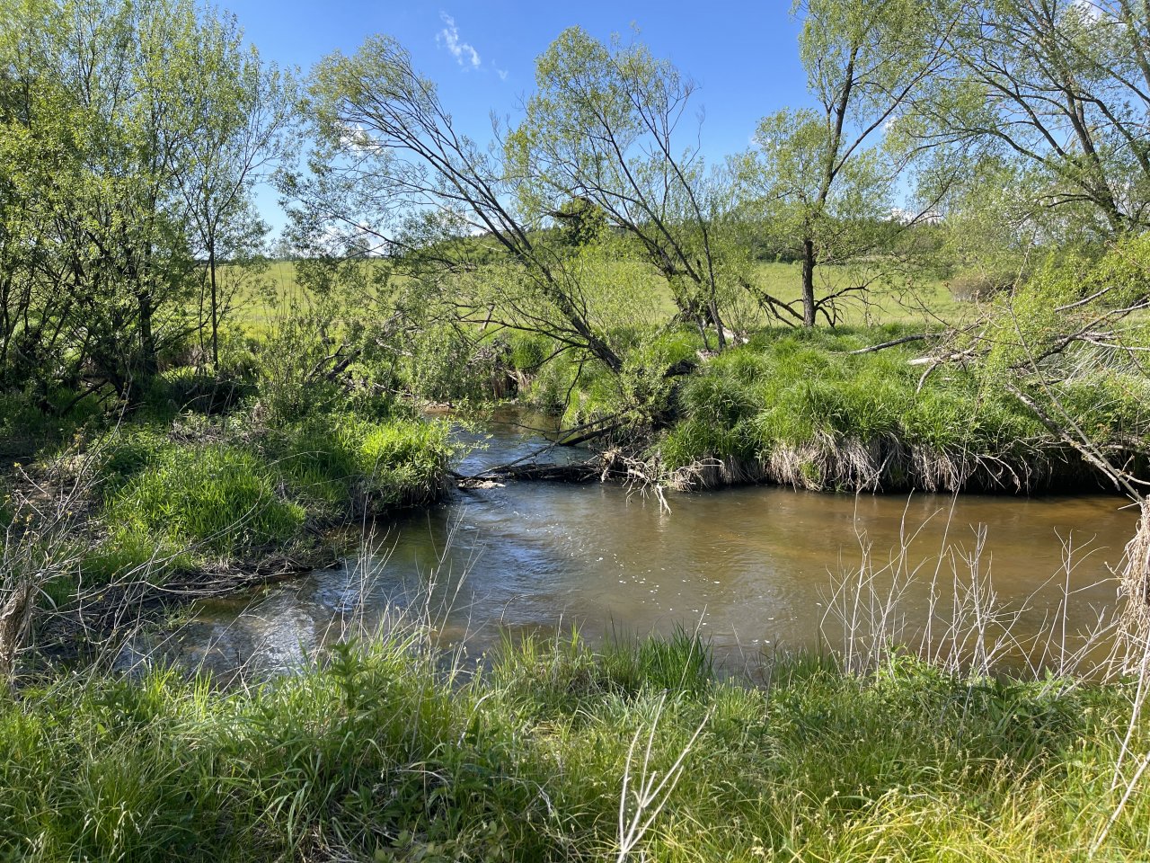 Mal�e below Doln� Dvo�i�t�