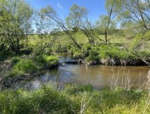 Malše below Dolní Dvořiště