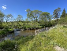 Malše below Dolní Dvořiště