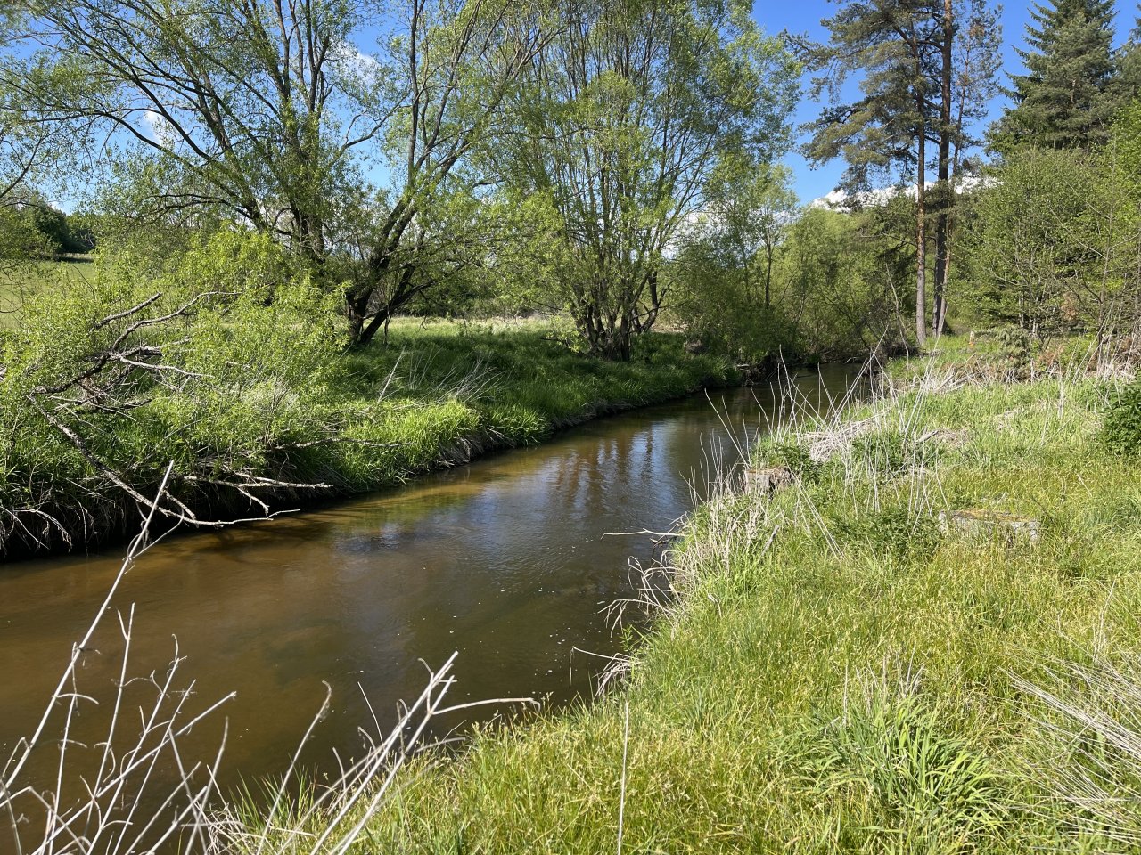 Mal�e below Doln� Dvo�i�t�