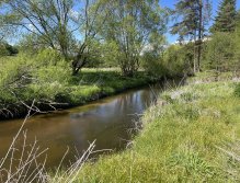 Malše below Dolní Dvořiště