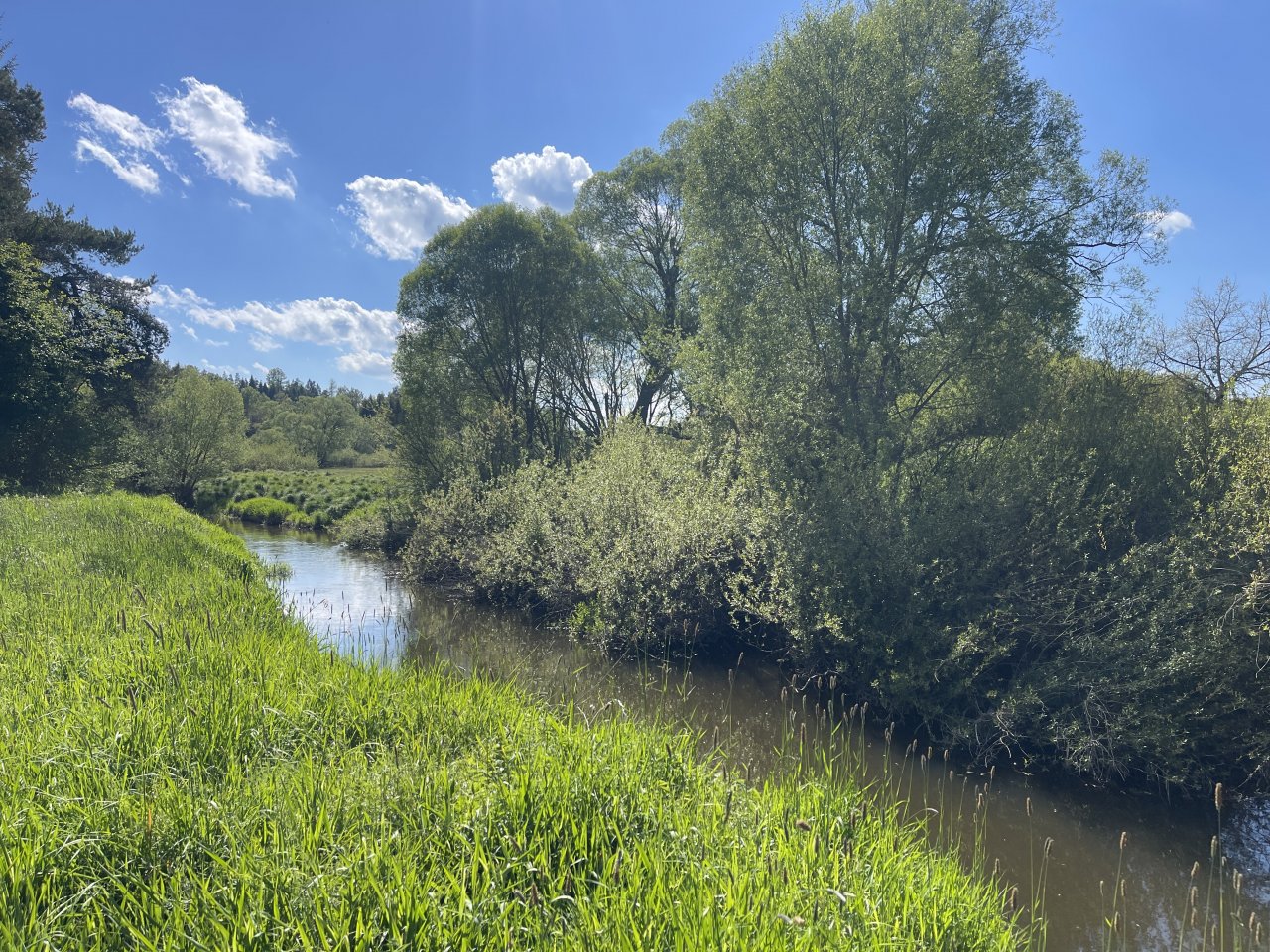 Mal�e below Doln� Dvo�i�t�