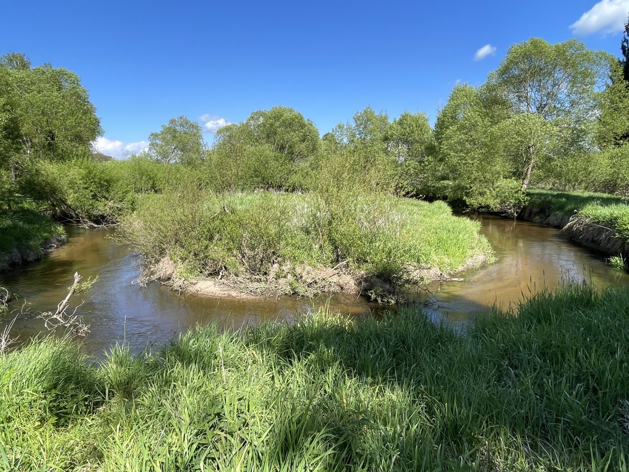 Mal�e below Doln� Dvo�i�t�