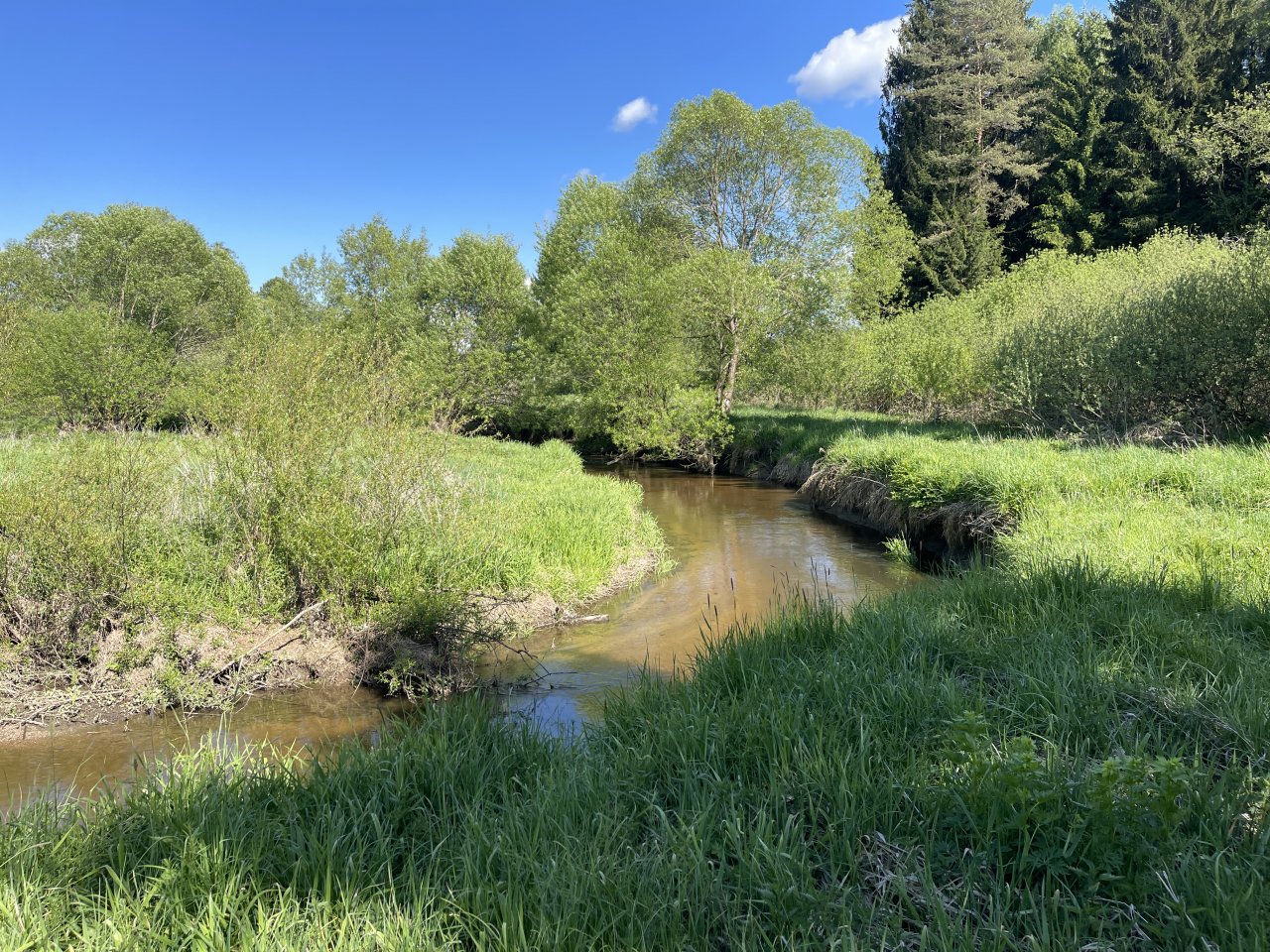 Mal�e below Doln� Dvo�i�t�