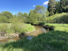 Malše below Dolní Dvořiště