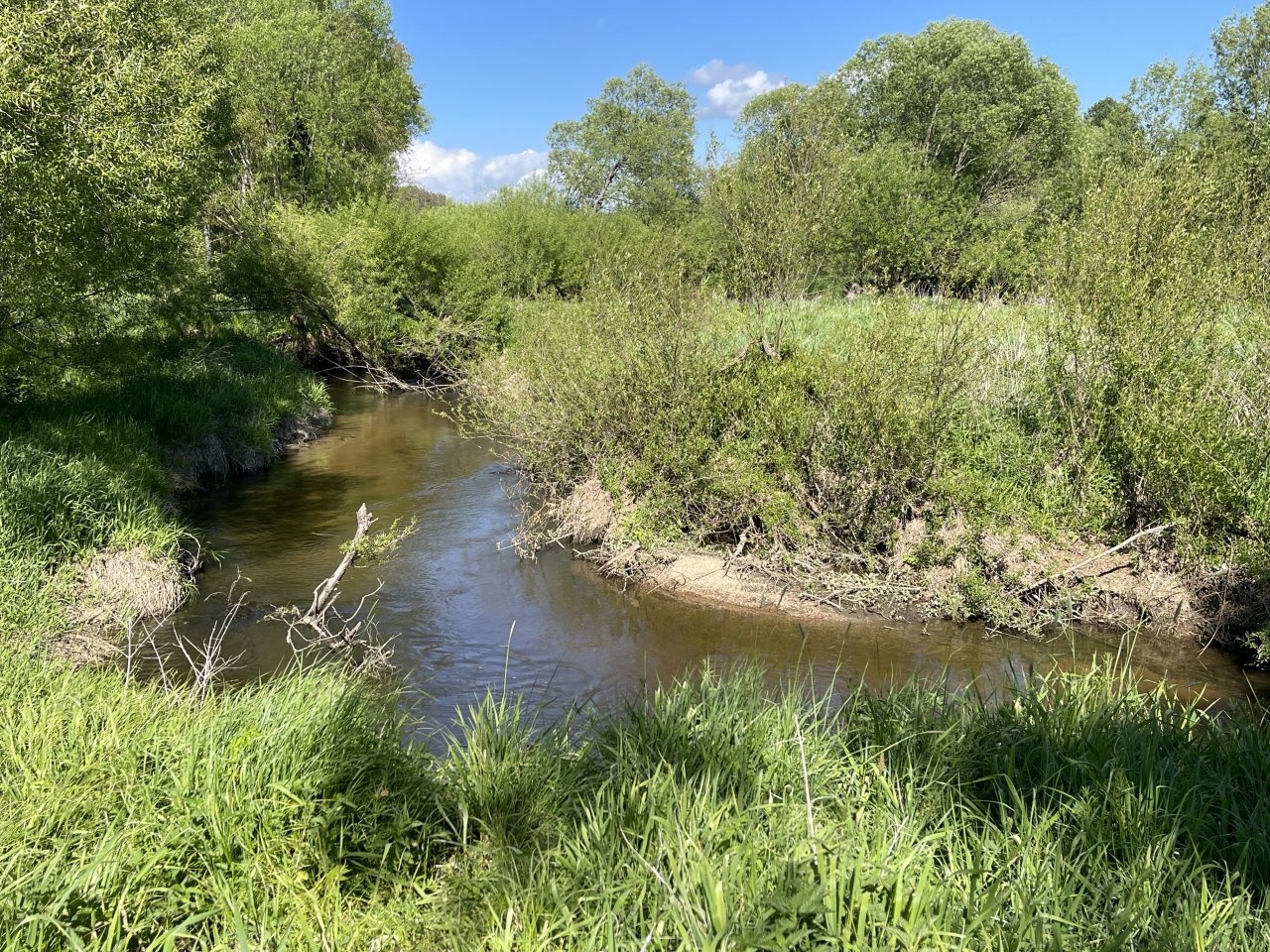 Mal�e below Doln� Dvo�i�t�