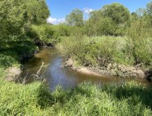 Malše below Dolní Dvořiště