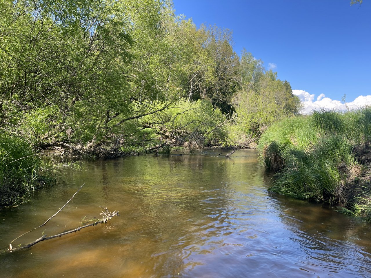 Mal�e below Doln� Dvo�i�t�