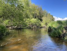 Malše below Dolní Dvořiště