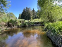 Malše below Dolní Dvořiště