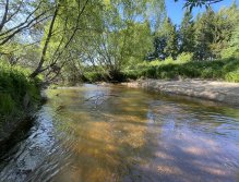 Malše below Dolní Dvořiště