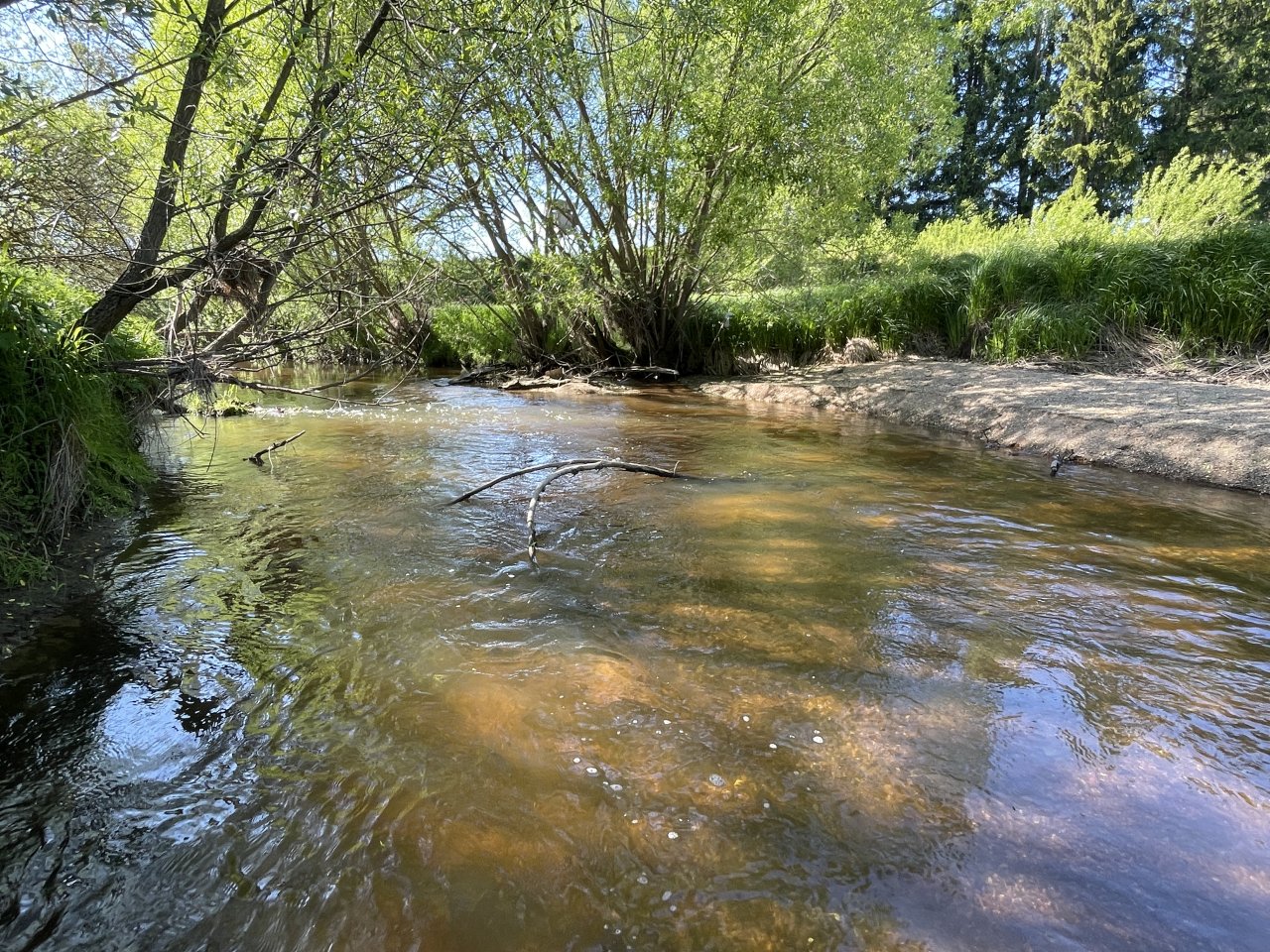 Mal�e below Doln� Dvo�i�t�