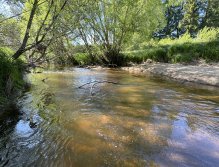 Malše below Dolní Dvořiště