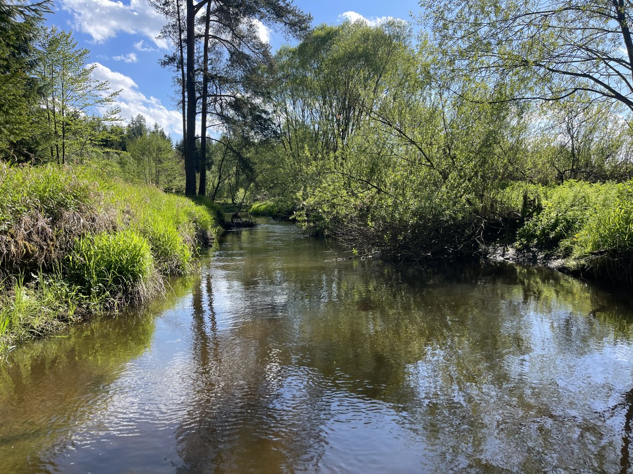 Mal�e below Doln� Dvo�i�t�