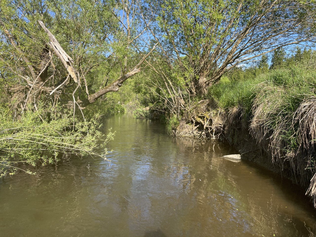 Mal�e below Doln� Dvo�i�t�