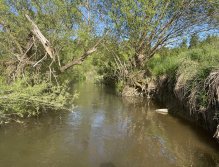 Malše below Dolní Dvořiště