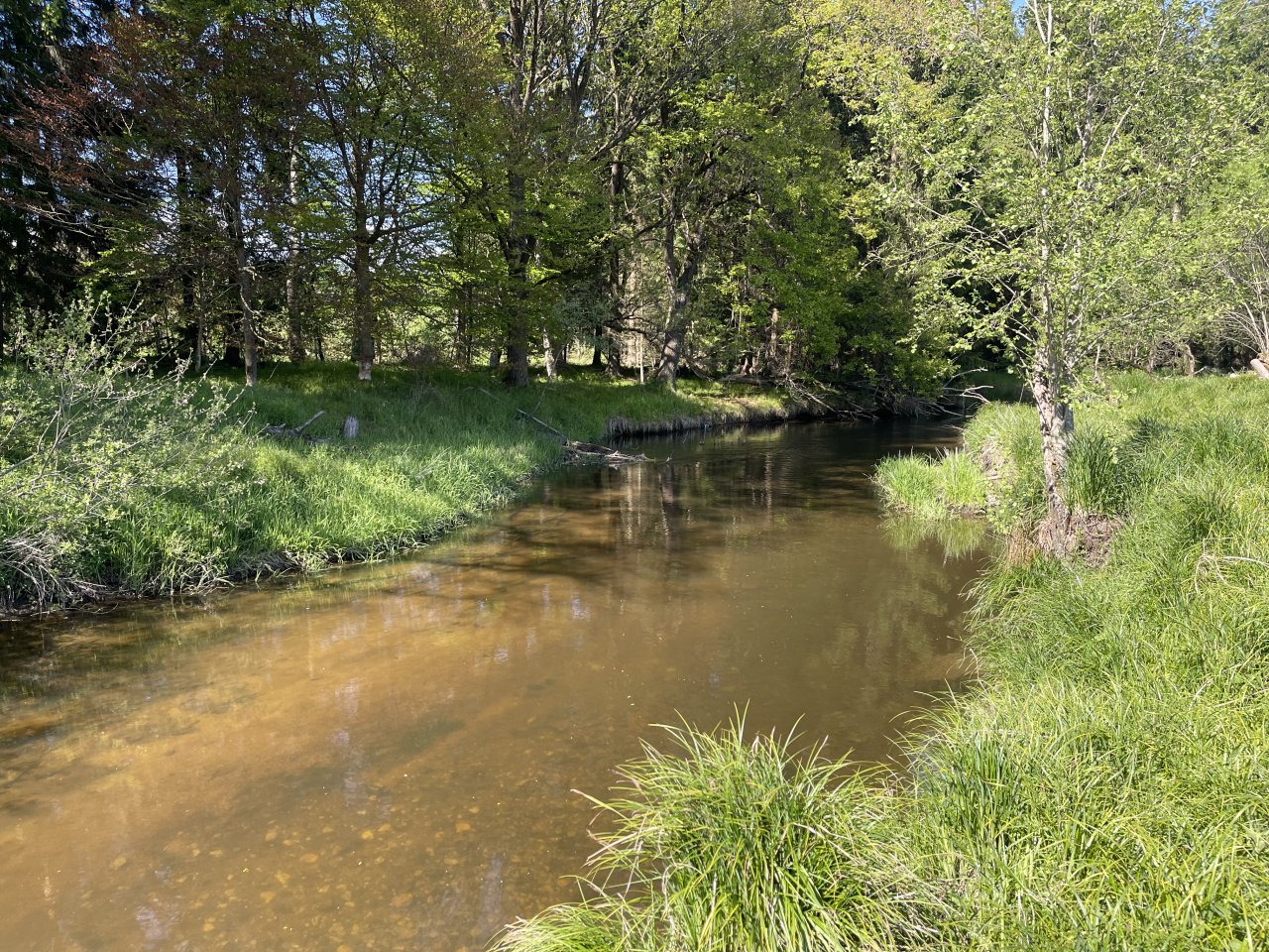 Mal�e below Doln� Dvo�i�t�