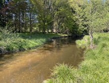 Malše below Dolní Dvořiště