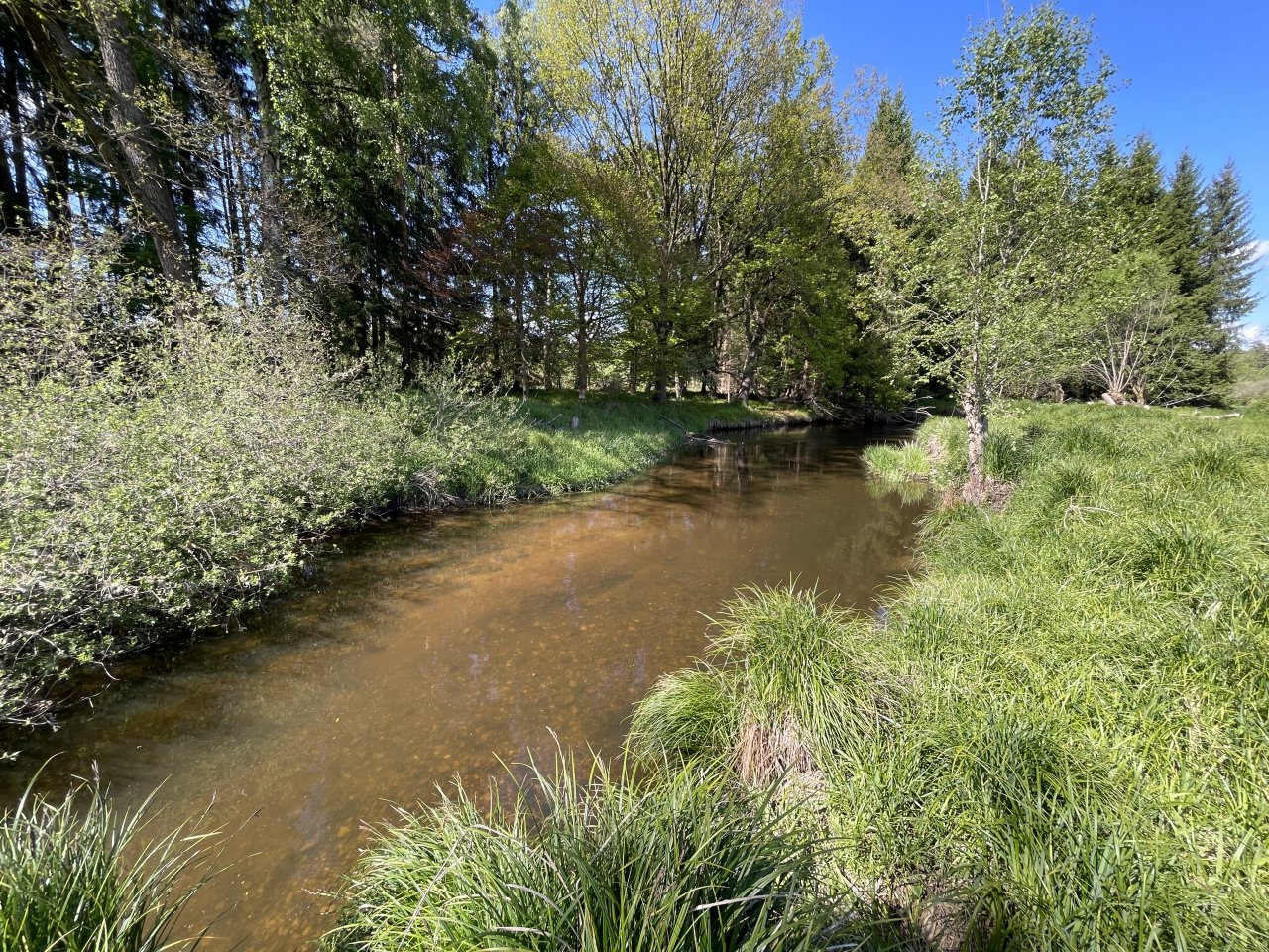 Mal�e below Doln� Dvo�i�t�