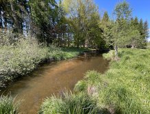 Malše below Dolní Dvořiště