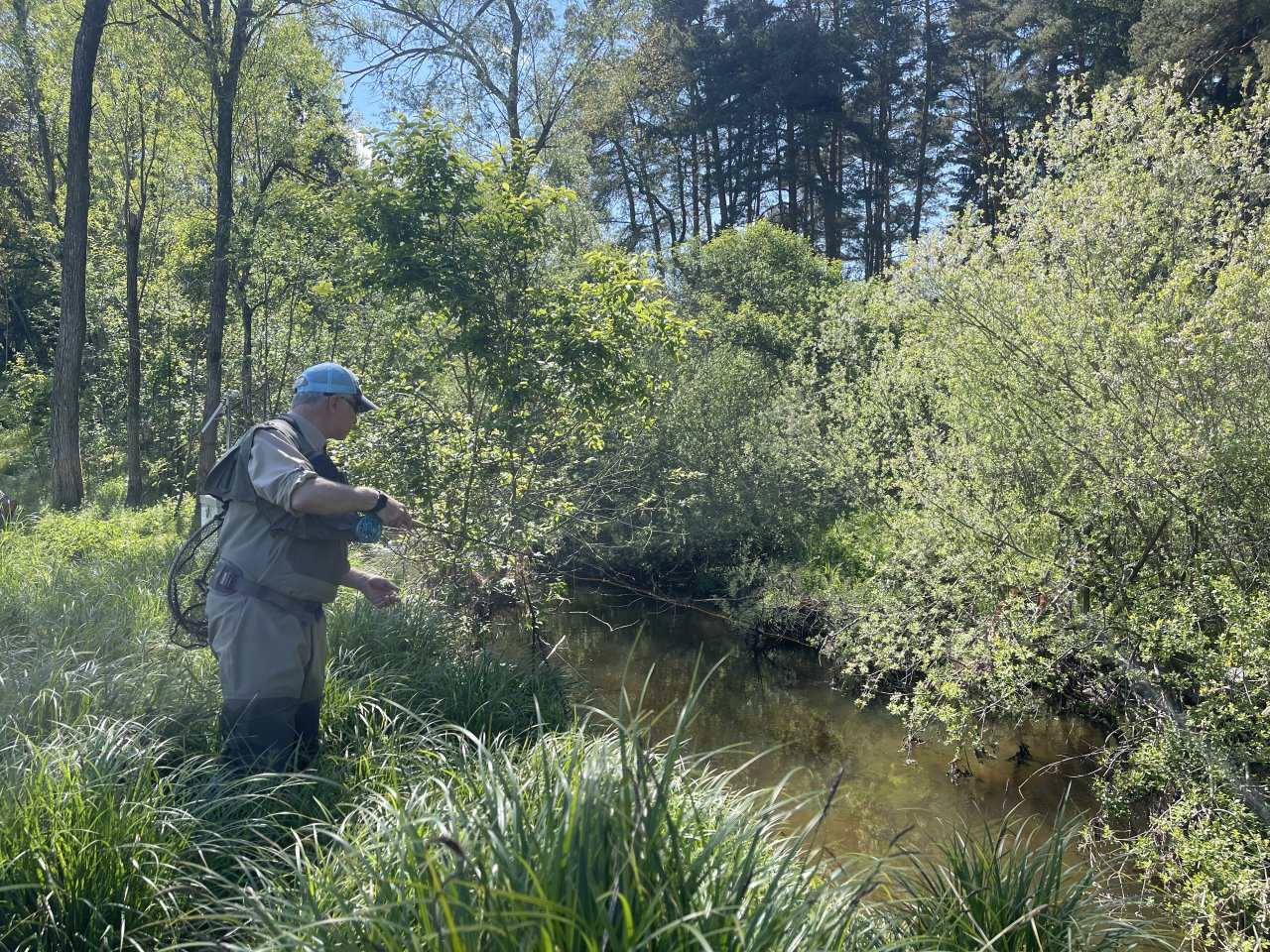 Mal�e below Doln� Dvo�i�t�