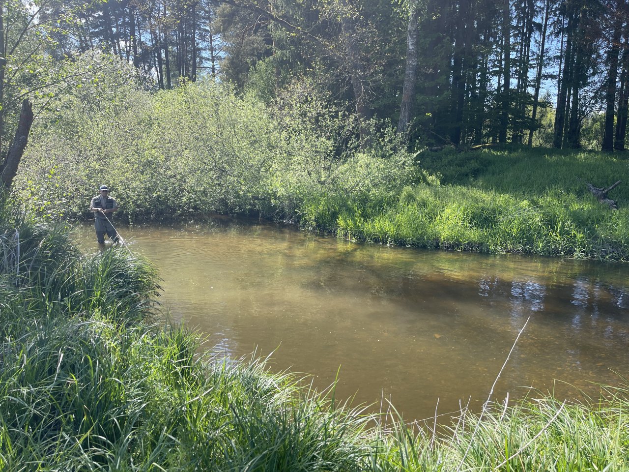 Mal�e below Doln� Dvo�i�t�