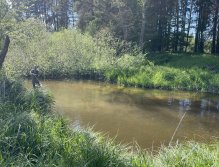 Malše below Dolní Dvořiště