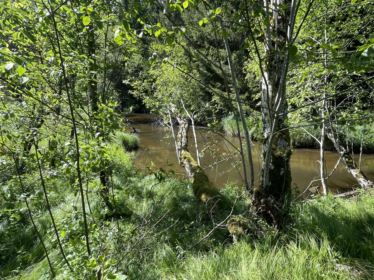 Mal�e below Doln� Dvo�i�t�