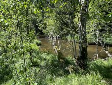 Malše below Dolní Dvořiště