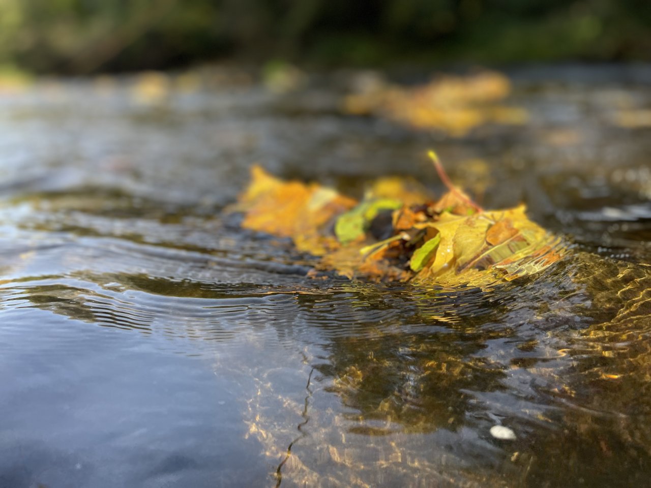 Lit�vka in Lochovice