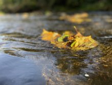 Litávka in Lochovice