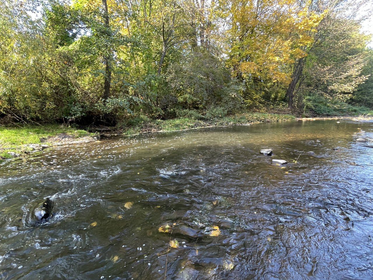 Lit�vka in Lochovice