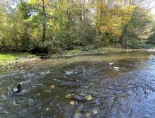 Litávka in Lochovice