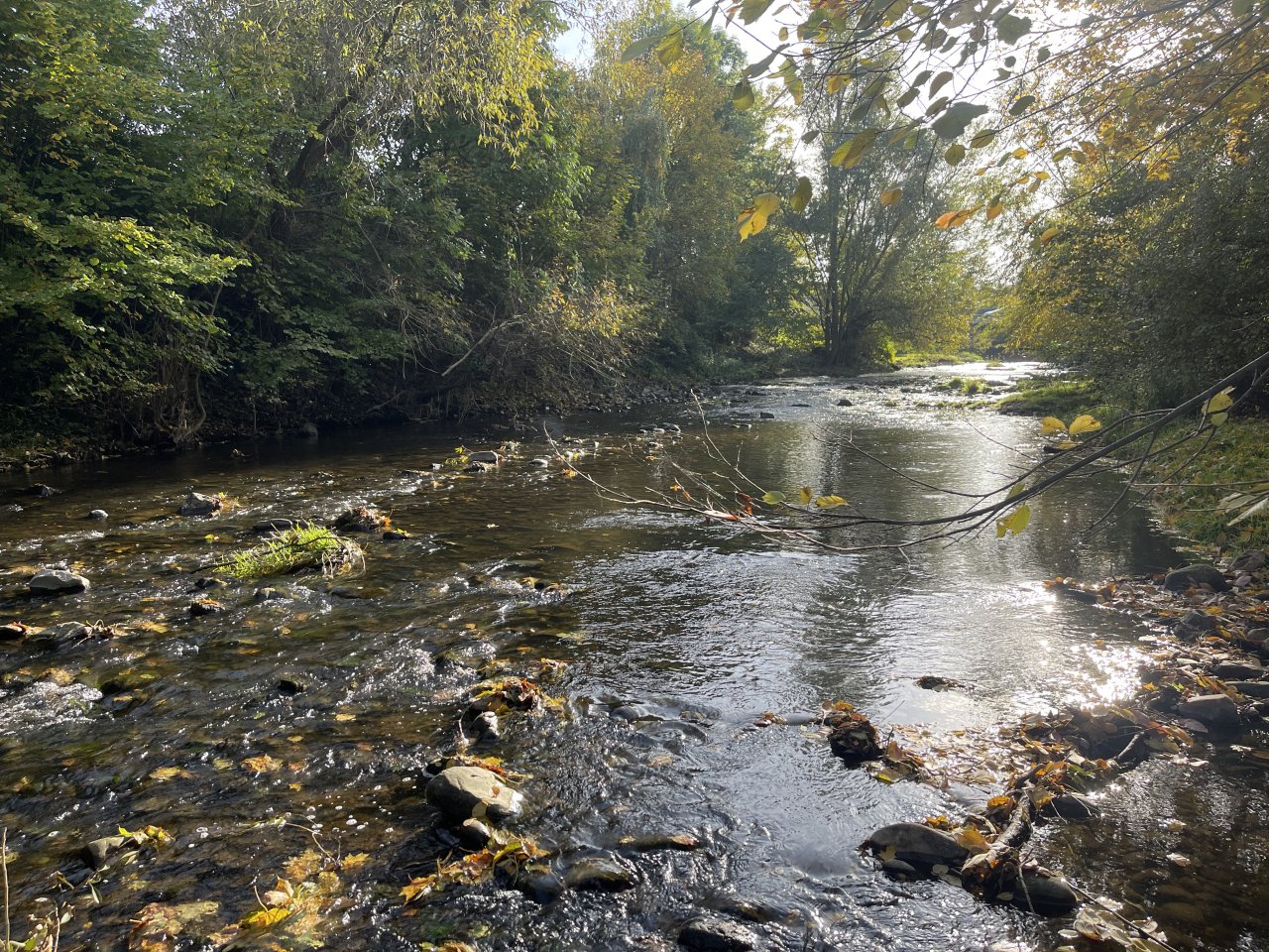 Lit�vka in Lochovice